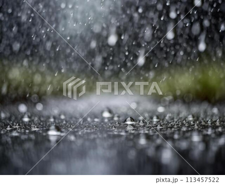 梅雨・雨降りの季節のイメージ画像 113457522