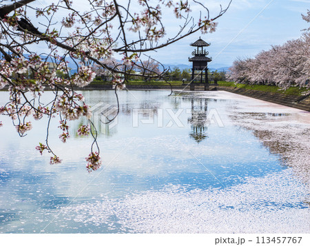 桜に囲まれる弥生の楼閣 桜に囲まれる弥生の楼閣 113457767