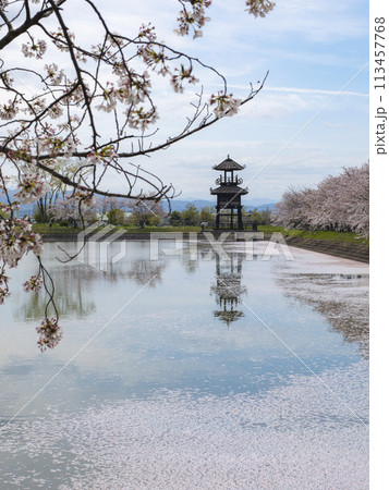 唐古池の花筏 113457768