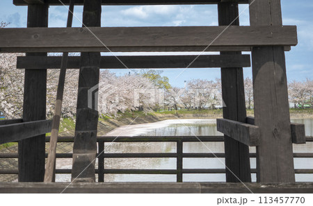 楼閣の向こうに桜並木 楼閣の向こうに桜並木 113457770