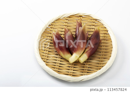 白バックで盆ざるに乗せたみょうが 113457824