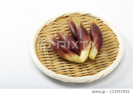 白バックで盆ざるに乗せたみょうが 113457832