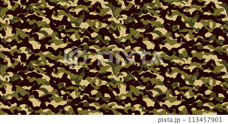 迷彩パターン　シームレス　背景素材 113457901