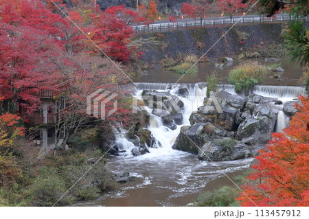 井の淵の紅葉(大井平公園 愛知県 豊田市) 井の淵の紅葉(大井平公園 愛知県 豊田市) 113457912