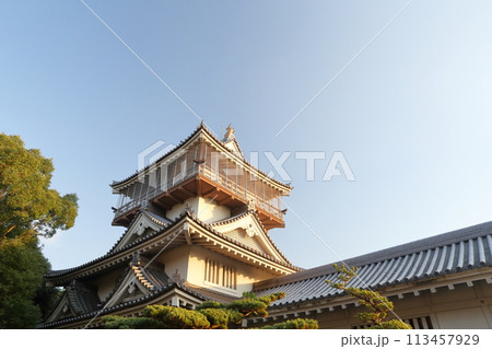 お城の天守閣（岩崎城　愛知県 日進市） 113457929