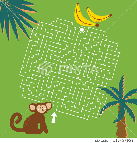 Maze game Labyrinth Jungle vector illustration. Colorful puzzle for kids Maze game Labyrinth Jungle vector illustration. Colorful puzzle for kids 113457952