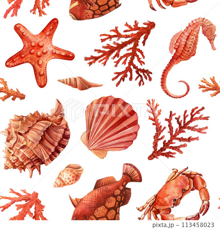 Hand drawn seashell, crab, coral and fish. Marine illustration Seamless Pattern watercolor Design, wallpaper underwater 113458023