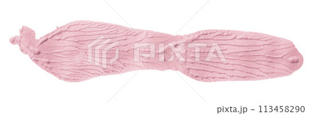 Pink paintbrush isolated on white background. Watercolor Pink paintbrush isolated on white background. Watercolor 113458290