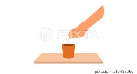 The concept of home growing fresh vegetables. Planting seeds on seedlings. Organic homemade vegetables. City garden. Vector illustration. The concept of home growing fresh vegetables. Planting seeds on seedlings. Organic homemade vegetables. City garden. Vector illustration. 113458366