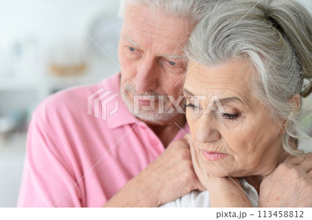 Close-up portrait of sad senior couple posing 113458812