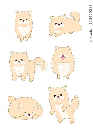 オレンジのポメラニアンの6体イラストセット 113459018