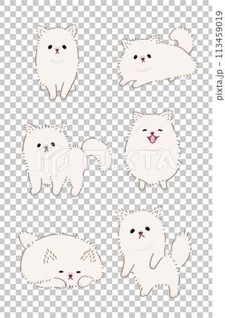 一組 6 張白色博美犬插圖 一組 6 張白色博美犬插圖 113459019