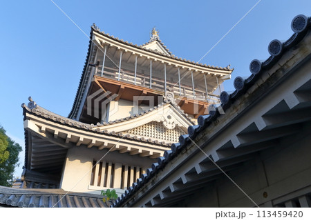 お城の天守閣(岩崎城 愛知県 日進市) お城の天守閣(岩崎城 愛知県 日進市) 113459420