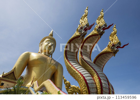 THAILAND ANG THONG WAT MUANG 113459596