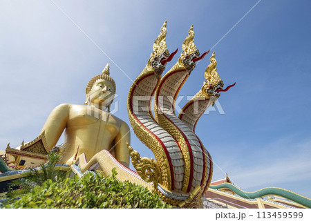 THAILAND ANG THONG WAT MUANG 113459599