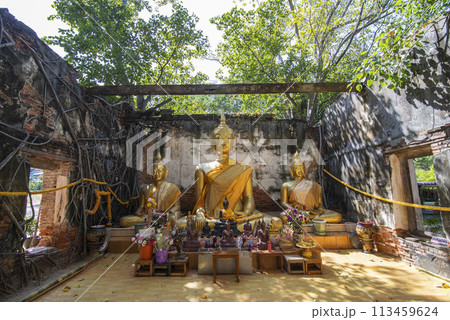 THAILAND ANG THONG WAT SANG KRATAI THAILAND ANG THONG WAT SANG KRATAI 113459624