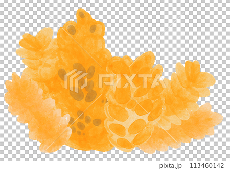 黄色のサンゴの水彩イラスト 黄色のサンゴの水彩イラスト 113460142