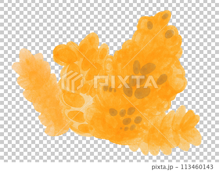 黃色珊瑚水彩插圖 113460143
