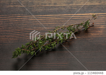 Thyme - aromatic seasoning herbal plant 113460448