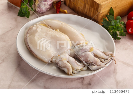 Raw fresh cuttlefish for cooking 113460475