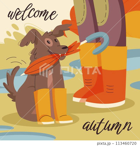 Hand drawn flat autumn illustration with dog holding umbrella 113460720