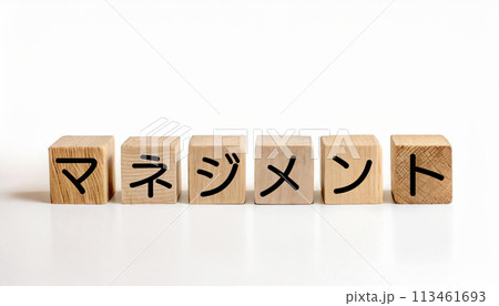 マネジメントと書かれたウッドキューブ マネジメントと書かれたウッドキューブ 113461693