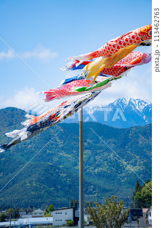 【初夏素材】大空を泳ぐ鯉のぼり【長野県】 【初夏素材】大空を泳ぐ鯉のぼり【長野県】 113462763