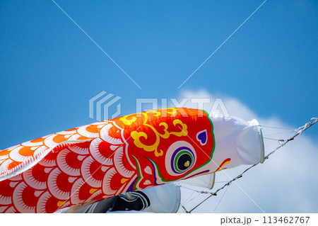 【初夏素材】大空を泳ぐ鯉のぼり【長野県】 【初夏素材】大空を泳ぐ鯉のぼり【長野県】 113462767
