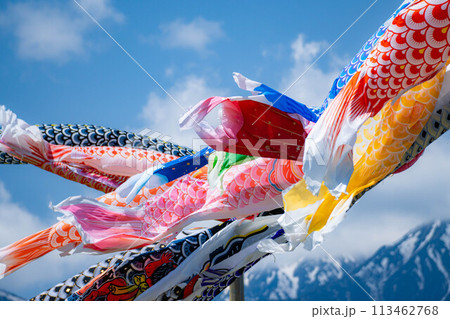 【初夏素材】大空を泳ぐ鯉のぼり【長野県】 【初夏素材】大空を泳ぐ鯉のぼり【長野県】 113462768