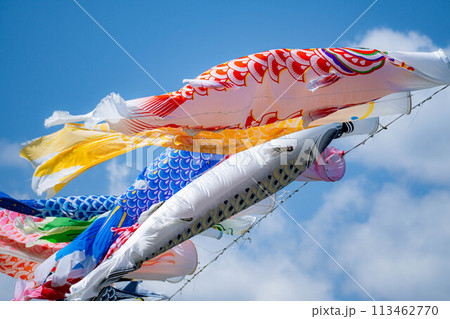 【初夏素材】大空を泳ぐ鯉のぼり【長野県】 【初夏素材】大空を泳ぐ鯉のぼり【長野県】 113462770