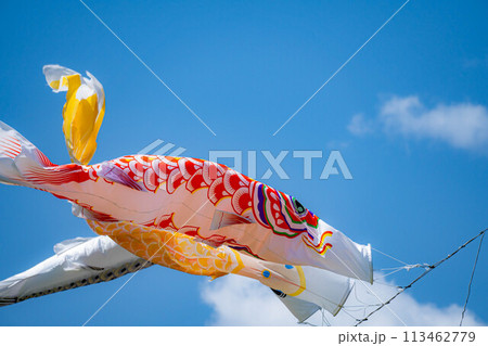 【初夏素材】大空を泳ぐ鯉のぼり【長野県】 113462779