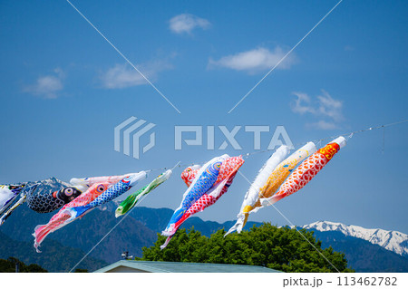 【初夏素材】大空を泳ぐ鯉のぼり【長野県】 【初夏素材】大空を泳ぐ鯉のぼり【長野県】 113462782
