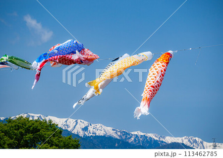 【初夏素材】大空を泳ぐ鯉のぼり【長野県】 113462785