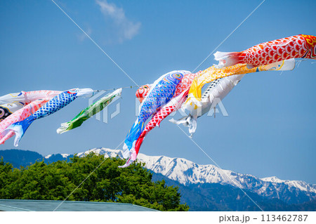 【初夏素材】大空を泳ぐ鯉のぼり【長野県】 【初夏素材】大空を泳ぐ鯉のぼり【長野県】 113462787