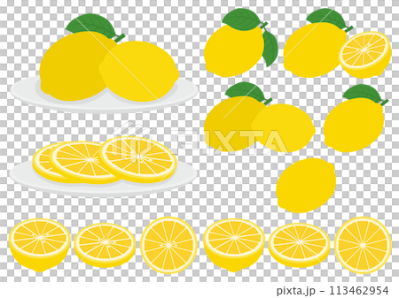 レモンのイラストのセット レモンのイラストのセット 113462954