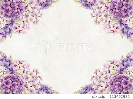 アジサイが鮮やかに咲く梅雨のフレーム 113462986