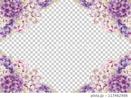 アジサイが鮮やかに咲く梅雨のフレーム 113462986