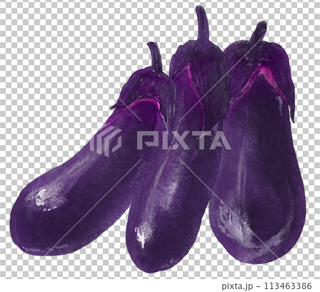 水彩で描いた茄子 水彩で描いた茄子 113463386