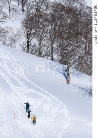 冬の谷川岳天神平・雪山を登る登山者たち 113463486