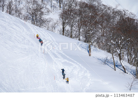 冬の谷川岳天神平・雪山を登る登山者たち 113463487