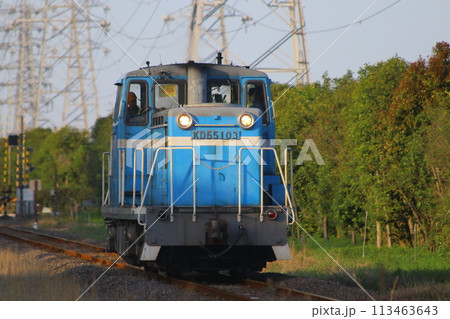 臨海本線　KD55 113463643