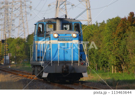 臨海本線　KD55 113463644