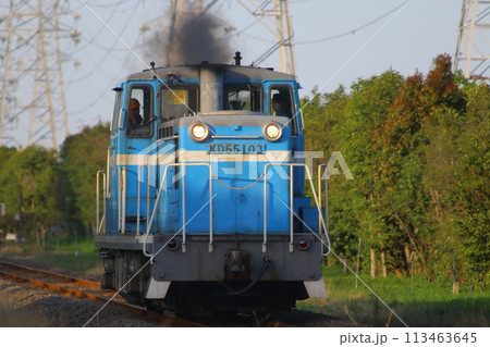 臨海本線　KD55 113463645