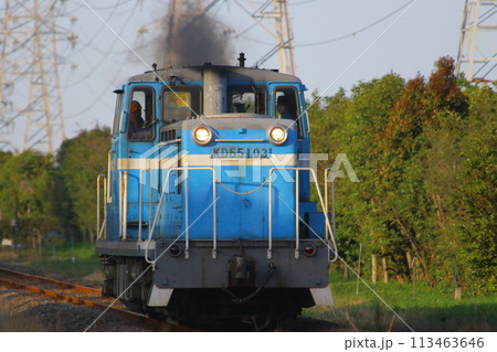 臨海本線 KD55 臨海本線 KD55 113463646