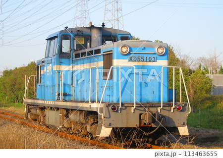 臨海本線　KD55 113463655