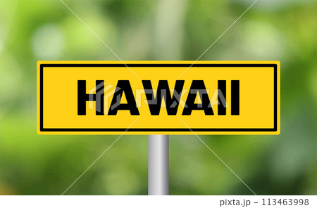 Hawaii road sign on blur background 113463998