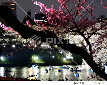 千鳥ヶ淵の桜と夜景 113464204