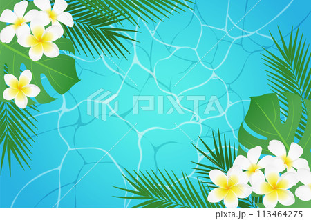 常夏の熱帯植物と水面の背景_ベクターイラスト 113464275