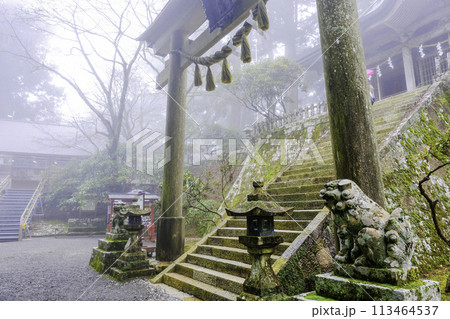 玉置神社鳥居と狛犬 玉置神社鳥居と狛犬 113464537