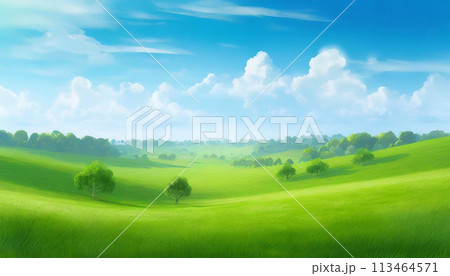 青空と広がる新緑、草原の風景｜著作権問題クリアadobeAI画像編集 113464571